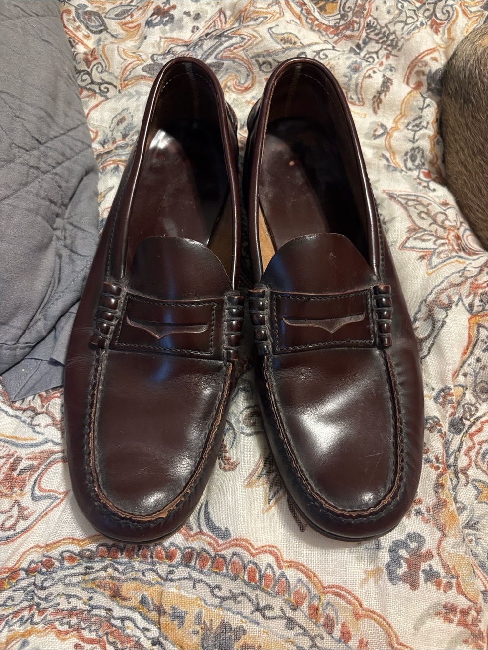 Florsheim Men's Penny Loafers in Dark Brown Leather